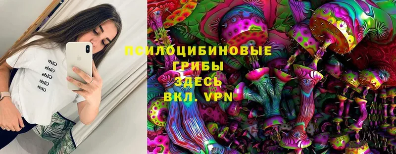 Псилоцибиновые грибы Magic Shrooms  даркнет сайт  Балашов 